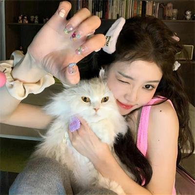 机器猛犬